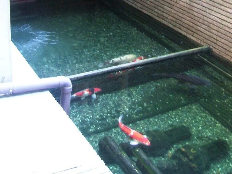 Hotel Kyo No Yado Rakucho Kioto 3*,  Japonia
